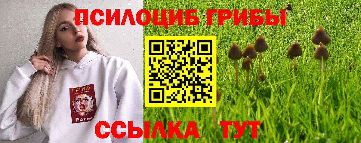 Псилоцибиновые грибы Cubensis  Вход с VPN  Миасс  Псилоцибиновые грибы Magic Shrooms 